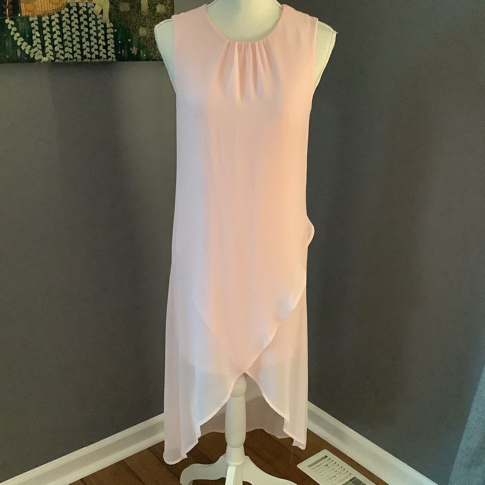 Venus Pink Sheer Dress